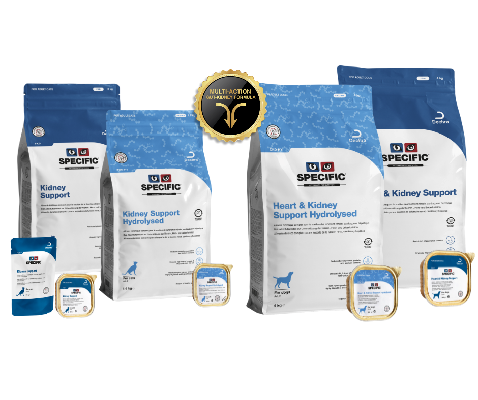 Nutrition for cats with Kidney Disease
